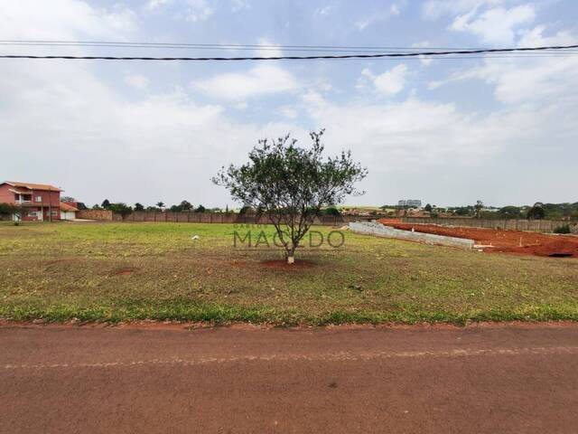 Venda em Torninos - Cesário Lange