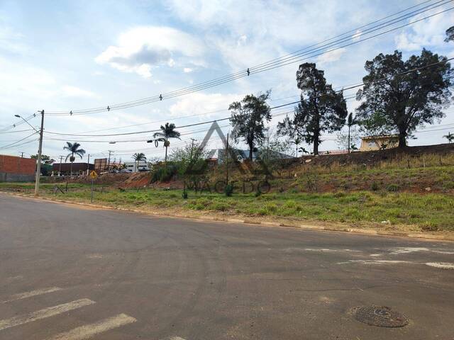 #631 - Terreno para Venda em Cesário Lange - SP - 3