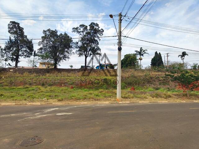 Terreno para Venda em Cesário Lange - 4