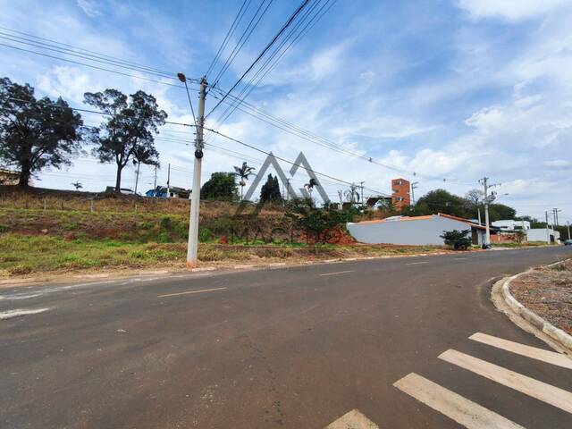 Terreno para Venda em Cesário Lange - 5