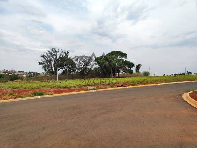 Terreno para Venda em Cesário Lange - 5