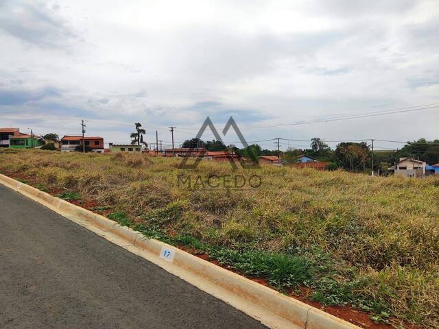 Terreno para Venda em Cesário Lange - 4