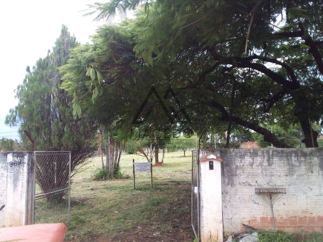 Terreno para Venda em Cesário Lange - 4