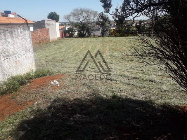 Terreno para Venda em Cesário Lange - 5