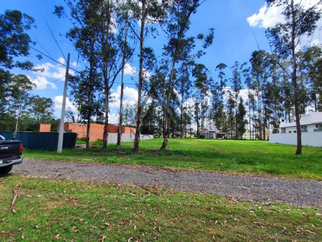 Terreno em condomínio para Venda em Porangaba - 3