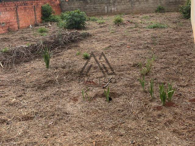 Terreno para Venda em Cesário Lange - 3