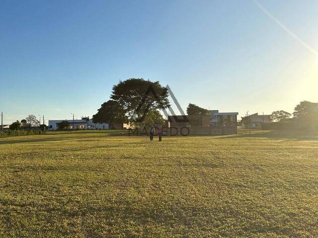 #694 - Terreno para Venda em Cesário Lange - SP