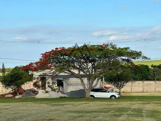 Terreno para Venda em Cesário Lange - 5