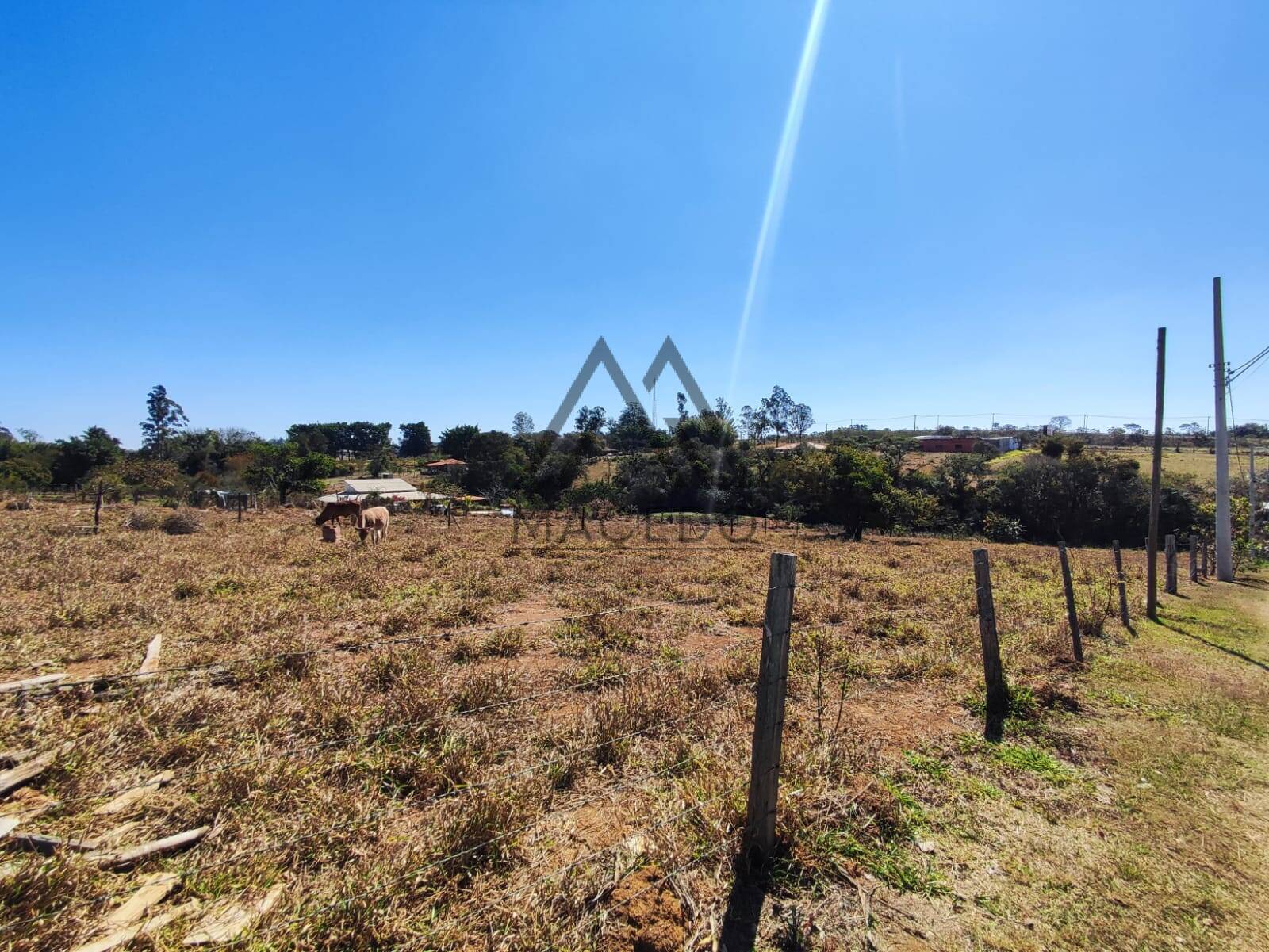 Terreno, 1000 m² - Foto 3