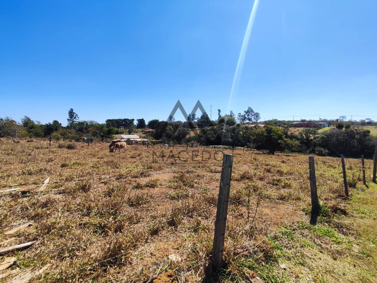 Terreno, 1000 m² - Foto 4