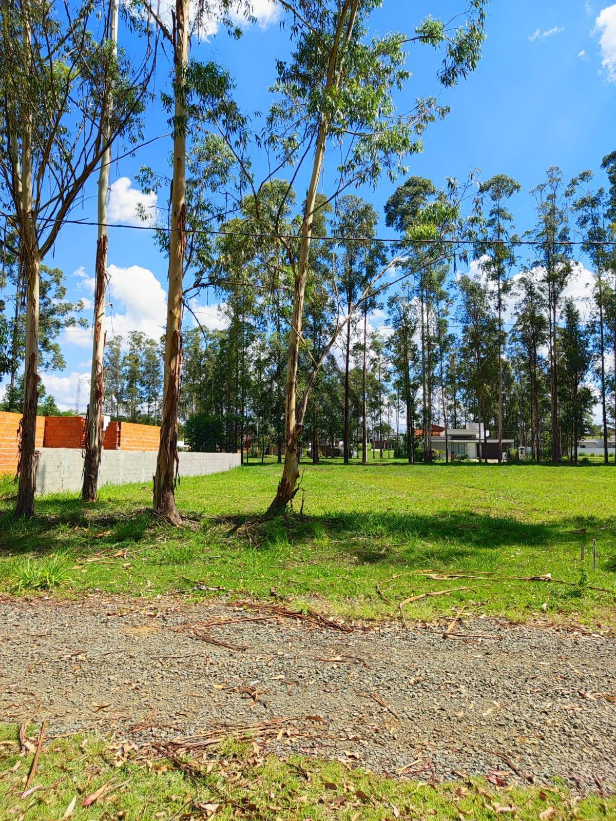 Terreno, 450 m² - Foto 4